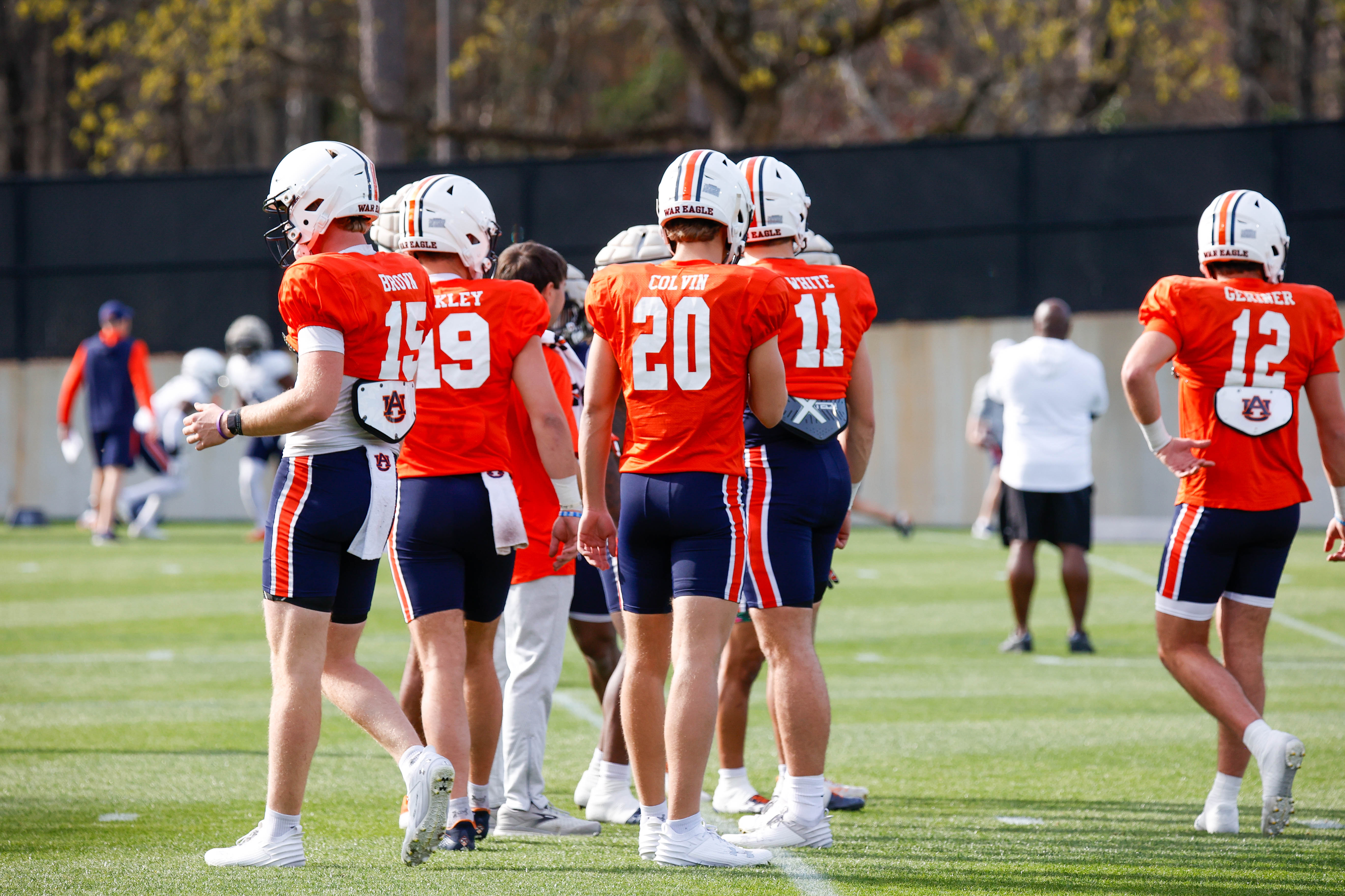 Auburn quarterbacks